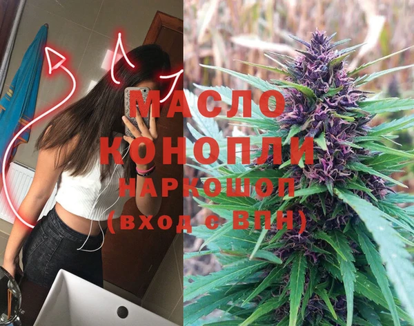 spice Михайлов