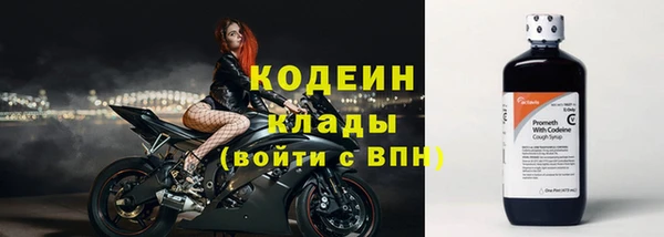 стафф Михайловск